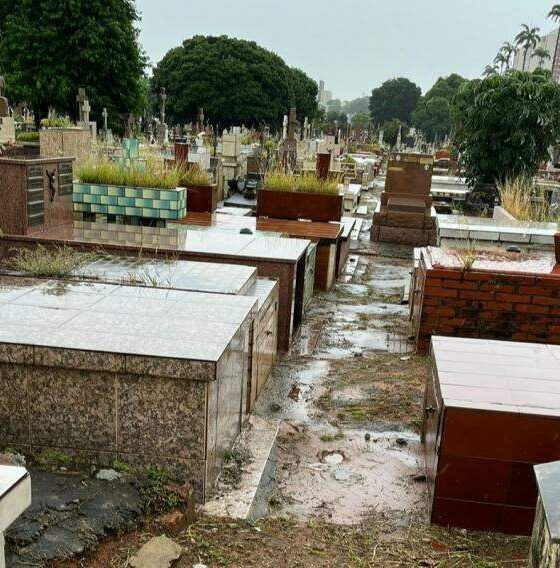 Lamentável estado do Cemitério da Saudade