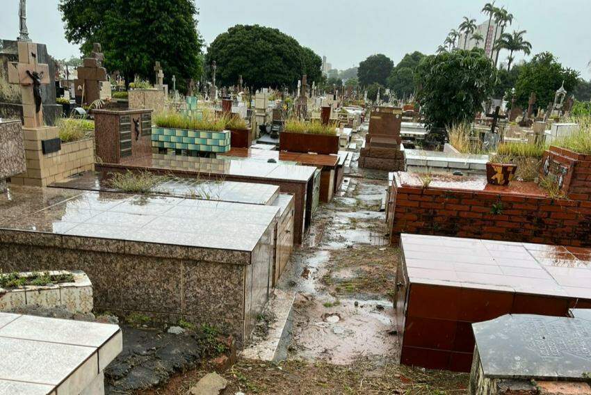 Lamentável estado do Cemitério da Saudade