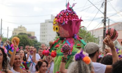 Carnaval de Campinas - Uma Celebração Vibrante e Diversificada