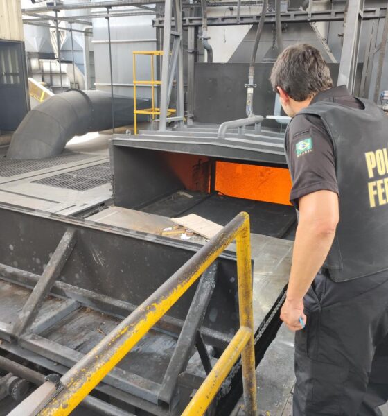 Operação de incineração da Polícia Federal destrói 722kg de drogas em Nova Odessa