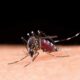 Saúde Distribui Vacinas Contra Dengue para Municípios Sem Casos Há Mais de Um Ano