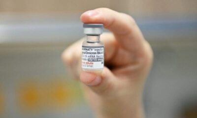 A Vacinação Bivalente em Campinas - Um Impasse à Vista