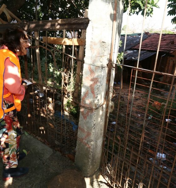 Aumento Preocupante de Mortes por Dengue em Campinas