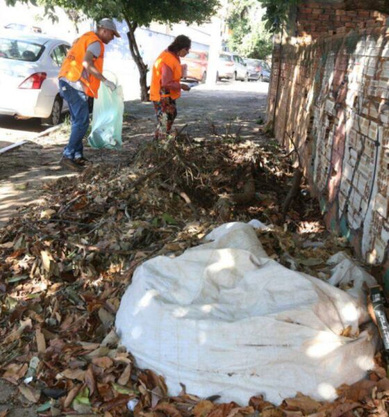 Ações de Prevenção à Dengue em Campinas - Uma Análise