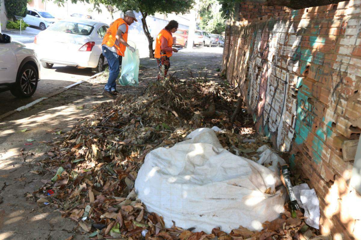 Ações de Prevenção à Dengue em Campinas - Uma Análise