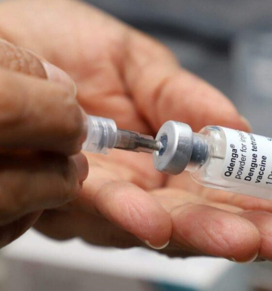 Vacinação contra a Dengue em Campinas - Um olhar sobre a campanha de imunização