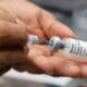 Vacinação contra a Dengue em Campinas - Um olhar sobre a campanha de imunização