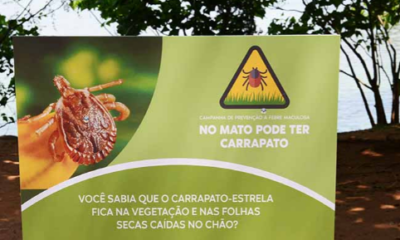 Alerta Máximo - Campinas Enfrenta Primeira Fatalidade por Febre Maculosa em 2024 e Intensifica Campanha de Prevenção