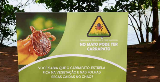 Alerta Máximo - Campinas Enfrenta Primeira Fatalidade por Febre Maculosa em 2024 e Intensifica Campanha de Prevenção