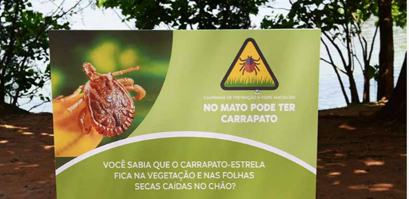 Alerta Máximo - Campinas Enfrenta Primeira Fatalidade por Febre Maculosa em 2024 e Intensifica Campanha de Prevenção