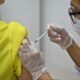 Campinas Intensifica Campanha de Conscientização sobre Vacinação contra Febre Amarela