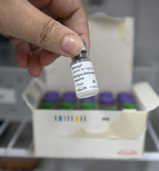 Campinas Intensifica Esforços na Vacinação contra a Dengue com Mais de 12 Mil Doses Aplicadas