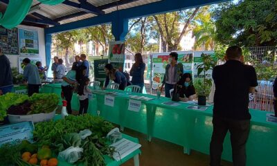 Celebrando a Sustentabilidade - A 3ª Edição da Feira Ambiental Municipal de Americana