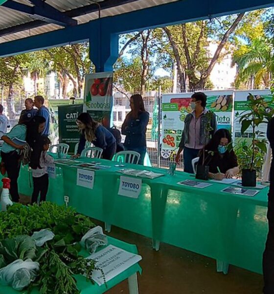 Celebrando a Sustentabilidade - A 3ª Edição da Feira Ambiental Municipal de Americana