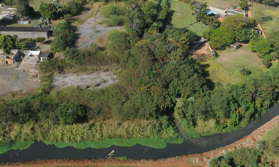 Decisão Controversa - Prefeito de Campinas Anula Eleição do Conselho Ambiental Municipal