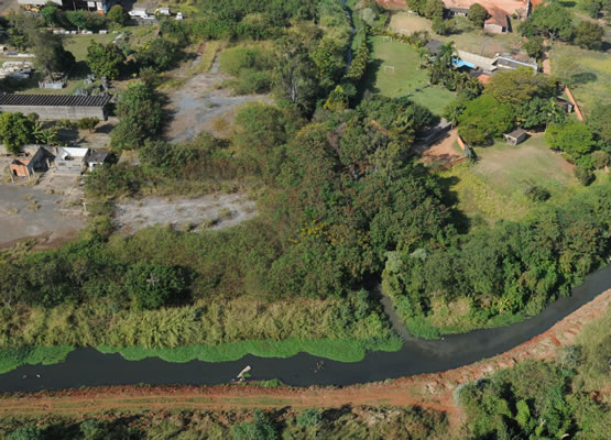 Decisão Controversa - Prefeito de Campinas Anula Eleição do Conselho Ambiental Municipal