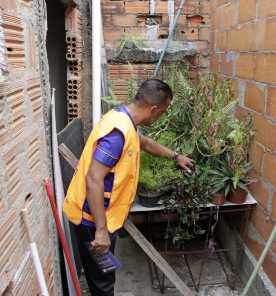 Esforços Conjuntos para Combater a Dengue em Campinas