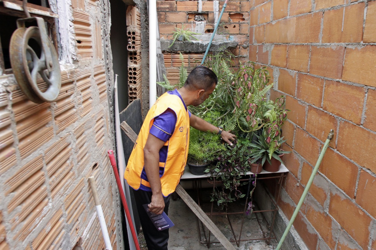 Esforços Conjuntos para Combater a Dengue em Campinas