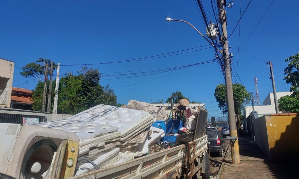 Nova Odessa Enfrenta Primeiro Caso Fatal de Dengue em Quase uma Década