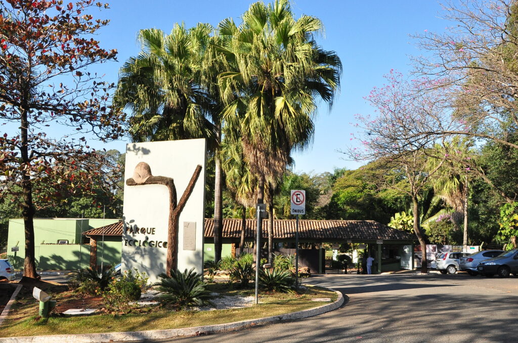 Novos Residentes Silvestres se Juntam à Família do Zoo de Americana