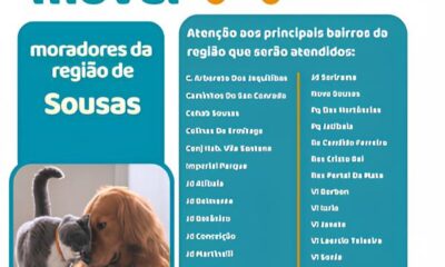 1 000 Castra es Gratuitas em Sousas Garanta J a Vaga do Seu Pet