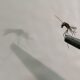 A Dengue em Campinas Como Combater o Surto de 2025 e Proteger Sua Fam lia