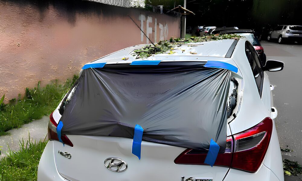 A Queda Assustadora Como Uma rvore Gigante Paralisou Campinas e Deixou Todos de Queixo Ca do