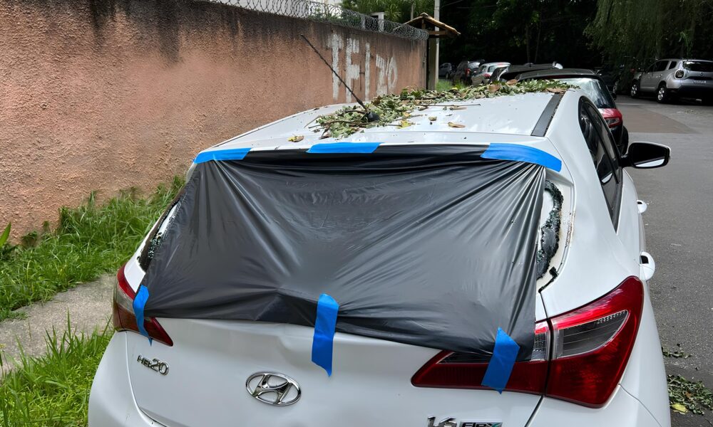 A Queda Assustadora rvore Gigante Devasta Carros e Quebra Poste ao Lado do Est dio do Guarani em Campinas