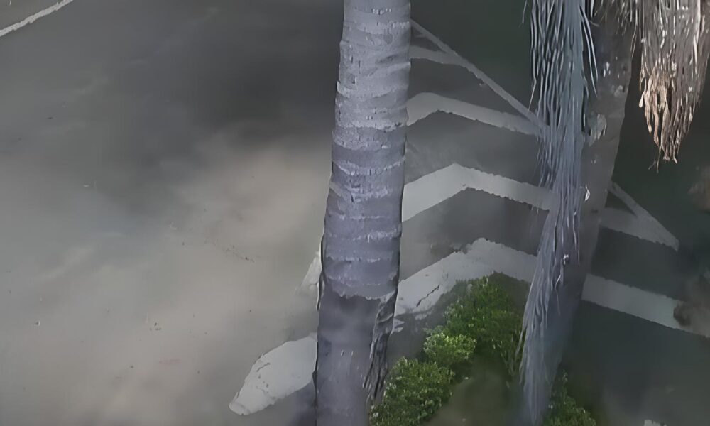 Acidente Grave em guas de Lind ia Motociclista Sem CNH Atropela Serralheiro na Beira da Rodovia O Que Aconteceu