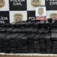 Caminhoneiro Preso com Meia Tonelada de Maconha O Caso que Chocou S o Paulo em 2025