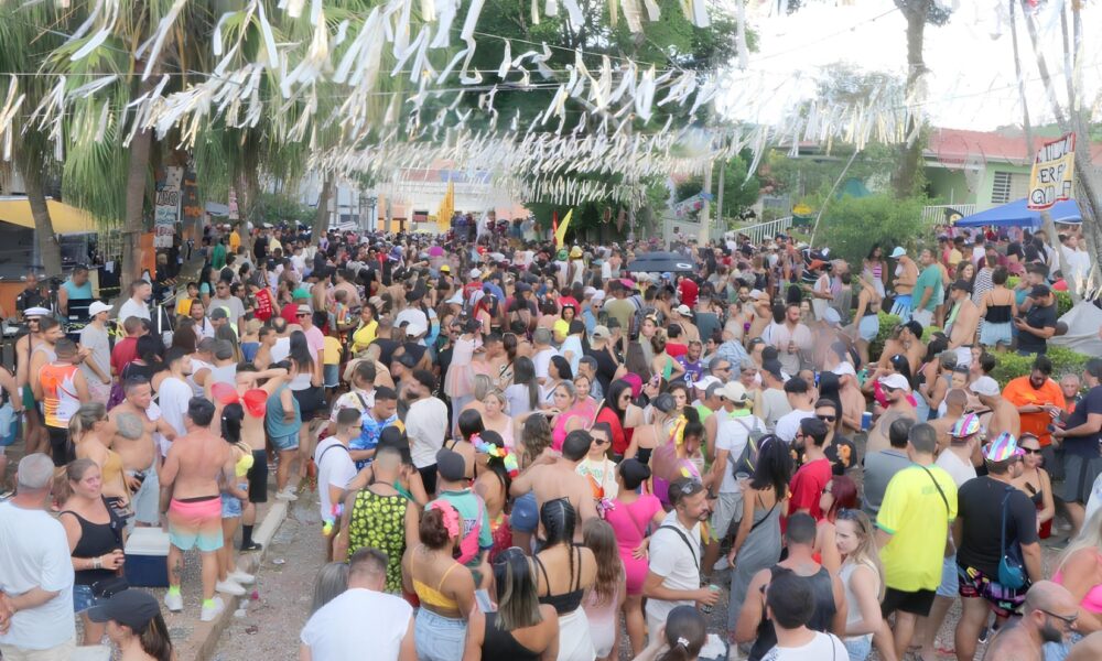 Carnaval 2025 em Campinas Tudo o Que Voc Precisa Saber para Cair na Folia