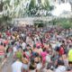 Carnaval 2025 em Campinas Tudo o Que Voc Precisa Saber para Cair na Folia