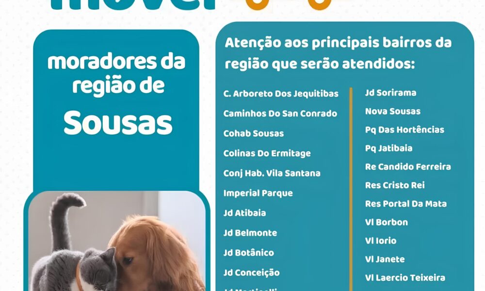 Castra o Gratuita em Campinas Saiba Como Garantir uma Vaga para Seu Pet
