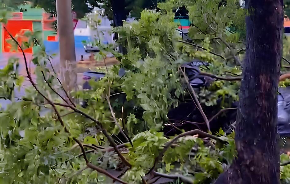 Chuva e Vento em Campinas O Que Aconteceu Nesta Tarde de 21 de Fevereiro de 2025