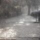 Clima em Campinas SP Tudo o Que Voc Precisa Saber Sobre a Previs o do Tempo Para Amanh