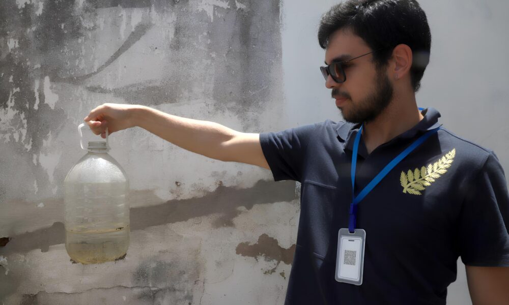 Combate Dengue em Campinas O Mutir o que Est Salvando Vidas