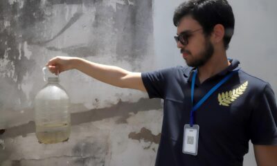 Combate Dengue em Campinas O Mutir o que Est Salvando Vidas