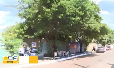 Como o Mister Brasil Infantil de 9 Anos Conquistou o T tulo Uma Jornada Inspiradora