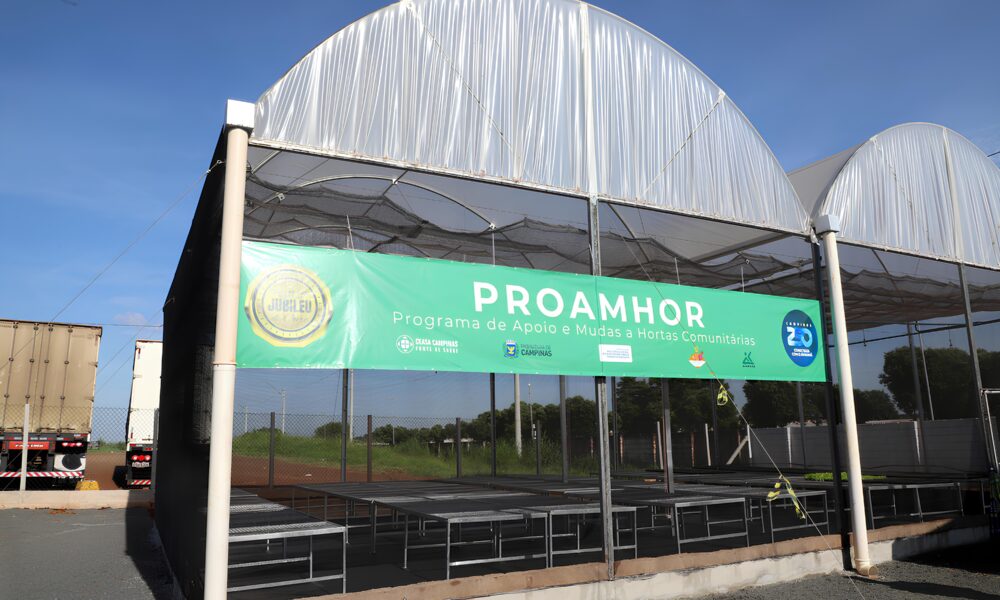 Como o Programa Proamhor Est Transformando Campinas com Mais de 80 Mil Mudas de Hortali as