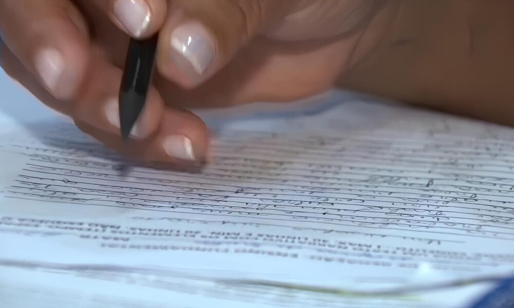 Educa o em Campinas Um Raio X do N vel de Escolaridade da Popula o Adulta