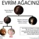 Evrim Aac Bir Hata Olutu O Que Fazer Quando a URI Apresenta Caracteres N o Permitidos