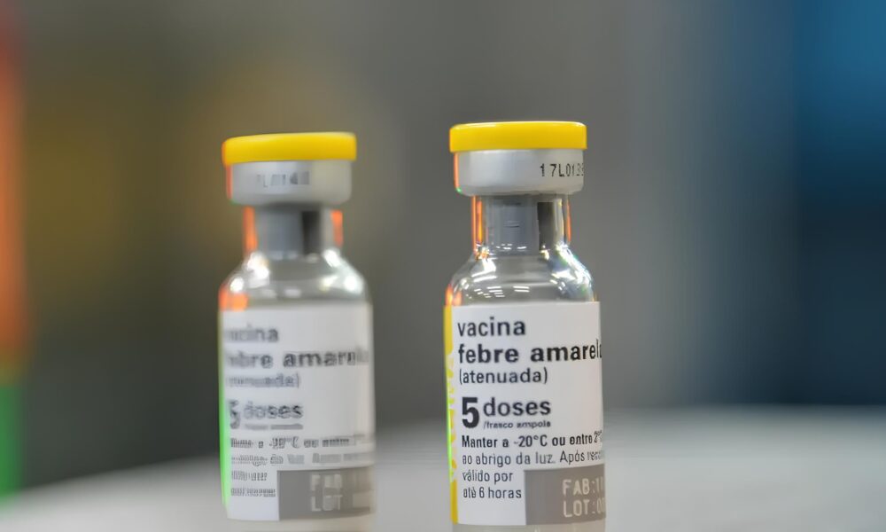 Febre Amarela O Alerta que N o Podemos Ignorar em 2025