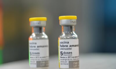 Febre Amarela O Alerta que N o Podemos Ignorar em 2025