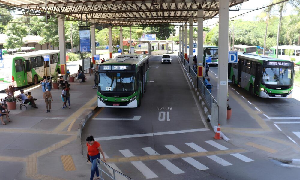 Folia em Campinas 2025 nibus Extras e Divers o Garantida para Todos
