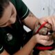 Ir para conte do Como o Consult rio Veterin rio M vel da Prefeitura de Campinas Est Transformando a Sa de Animal na Cidade