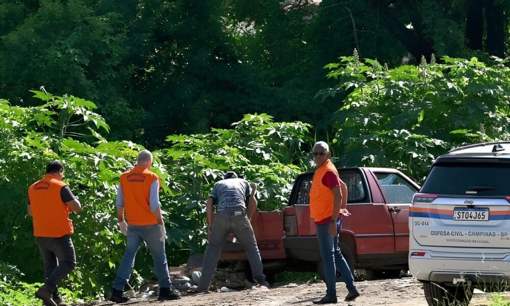 Morador de Sumar Multado por Descarte Irregular em Mutir o Contra a Dengue O Que Aconteceu e Por Que Isso Importa