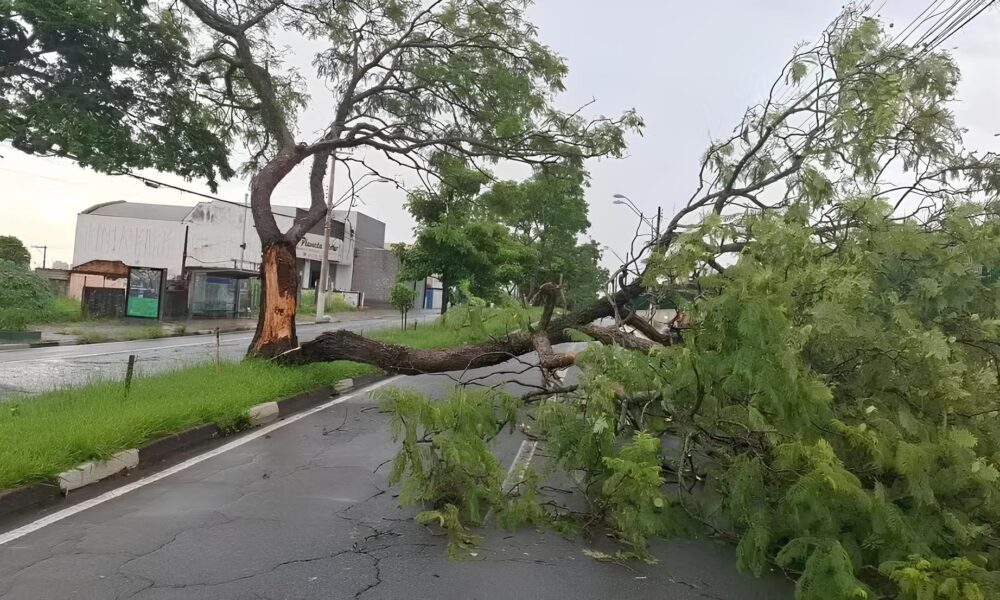 Temporal em Campinas Como a Cidade Enfrentou as Chuvas Intensas e o Que Aprendemos com Isso