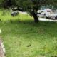 Tr gico Acidente na Rodovia Francisco Von Zuben Motociclista de 25 Anos Perde a Vida Ap s Colis o com rvore