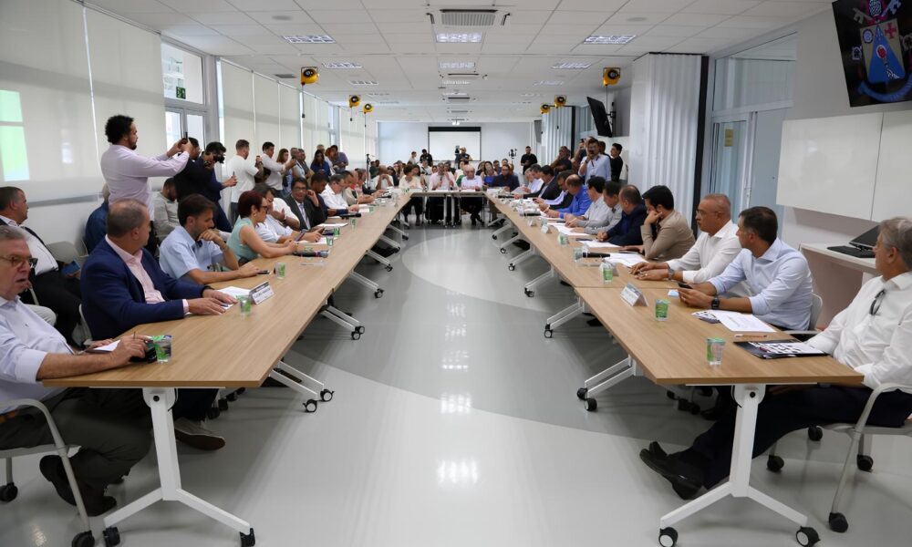 Universidade PUC Campinas O Papel Central na Elei o do Conselho de Desenvolvimento da RMC e Suas Implica es para o Futuro