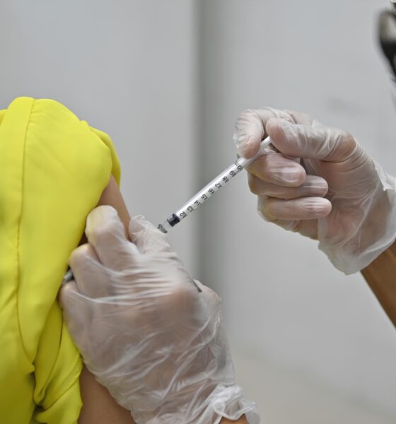 Cinco Anos da Pandemia de Covid-19 em Campinas: Reflexões, Desafios e Lições para o Futuro 2 Cinco Anos da Pandemia de Covid 19 em Campinas Reflex es Desafios e Li es para o Futuro